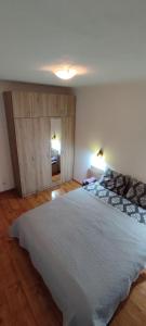 1 dormitorio con 1 cama grande en una habitación en Apartment in Sapphire Residence en Bansko