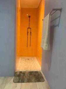 a bathroom with an orange tiled shower with a towel at Victorian Haven in Observatory in Cape Town