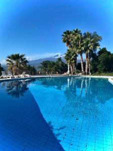 una gran piscina azul con palmeras en el fondo en Casa Geranio vista Etna en Calatabiano