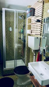 ein Bad mit einer Dusche, einem WC und einem Waschbecken in der Unterkunft Chalet Tännli - CharmingStay in Flumserberg