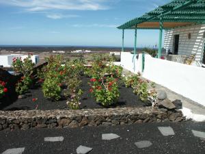 A garden outside Casa Andrés