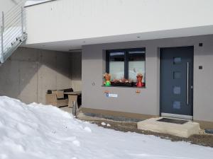 Apartment Apart Handle by Interhome during the winter