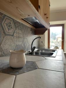 a kitchen with a sink and a vase on the counter at Maison Marcel Sarre in Aosta