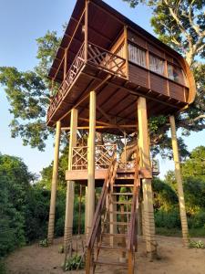 Ogród w obiekcie Leopard Nest - Glamping in Yala