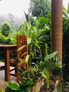 un jardín con plantas, una mesa y una silla en Green Mountain Villa, en Ella