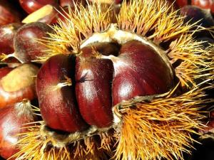 a close up of a durian fruit with other fruits at La casina rossa della fornace in Cutigliano