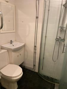 a bathroom with a shower and a toilet and a sink at ATTIC FLOOR in Stockholm City! 918 in Stockholm