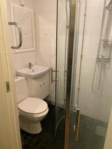 ein Bad mit einem WC, einem Waschbecken und einer Dusche in der Unterkunft ATTIC FLOOR in Stockholm City! 918 in Stockholm