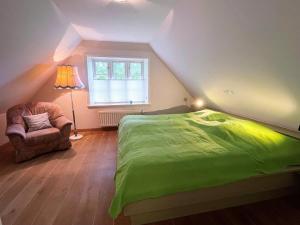 een slaapkamer met een groen bed en een stoel bij Das Puppenhaus, Reetdach, Sauna, Kamin, eingezäunt, Badewanne, Haustiere willkommen in Emmelsbüll-Horsbüll