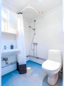 Łazienka z białą toaletą i umywalką w obiekcie Oslo Airport Apartments w mieście Gardermoen