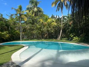 una piscina en un patio con palmeras en Solea Villa Tropical, en Santa Marta