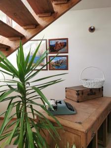 Fotografie z fotogalerie ubytování Adagio Guesthouse v destinaci Caprie