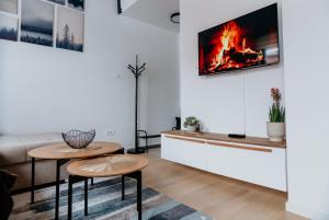 uma sala de estar com lareira e uma televisão na parede em Apartment Frost Bjelasnica em Bjelašnica