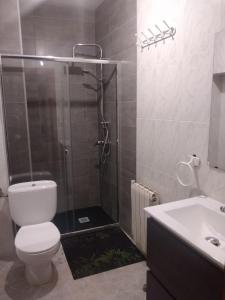 a bathroom with a shower and a toilet and a sink at Apartamento Delicia in Belmonte