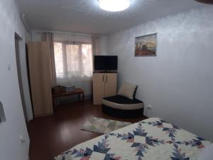 a bedroom with a bed and a television in it at Victor Residence 38 in Bucharest