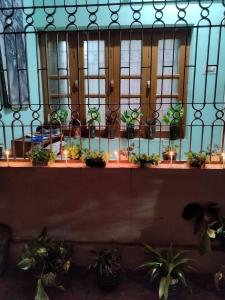 a balcony with potted plants and lights on a fence at Ashiyana in Bhubaneshwar