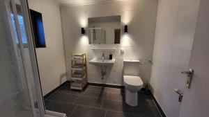 ein Badezimmer mit einem WC, einem Waschbecken und einem Spiegel in der Unterkunft Haus Grübl in Wald im Pinzgau