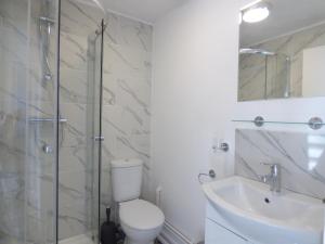 a bathroom with a toilet and a sink and a shower at Windmill Cottage in Ely
