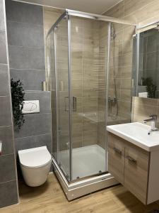 A bathroom at AS Divcibare