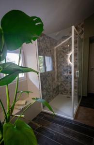 une plante verte dans une pièce avec une porte en verre dans l'établissement Mas des 2 paons, à Villedaigne