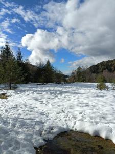 a snow covered field with trees in the background at Casa Aprica piste da sci Baradello in Aprica