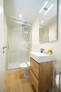 a bathroom with a shower and a sink and a toilet at Asturches Apartamento in Gijón +17 photos