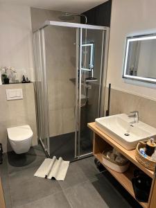 a bathroom with a shower and a toilet and a sink at Alpenoase in Schwendau