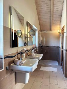 uma casa de banho com um lavatório, um espelho e um chuveiro em Seeräuber em Dagebüll