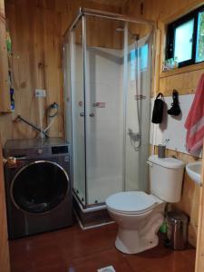 a bathroom with a shower and a toilet and a washing machine at cabaña de 2 pisos in Coñaripe