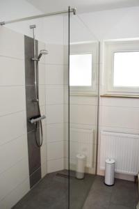 a bathroom with a glass shower with two windows at Haus Storjohann in Dagebüll