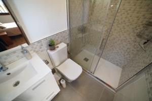 a bathroom with a shower and a toilet and a sink at Casa de campo 2 Ortigal Tenerife in La Esperanza