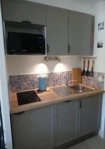 a kitchen counter with a sink and a microwave at Studio Poisson bleu 2 in Saint-Raphaël