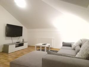 uma sala de estar com um sofá e uma televisão de ecrã plano em Apartman Sesvete em Sesvete