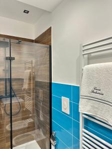 a shower in a bathroom with a blue tile wall at Casa Patrizia elegante dimora con biliardino in Battipaglia +14 photos