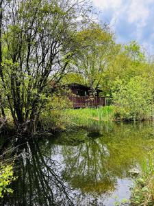 uma casa no meio de um rio com árvores em Secluded Rustic Cabin - A Digital Detox Paradise. em York