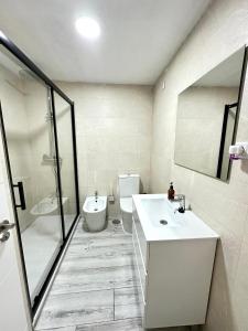 y baño con lavabo, aseo y ducha. en MALAGA INN APARTAMENTS, en Málaga