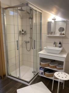 a bathroom with a shower and a sink at Magnificent Eco Villa Valencano in Bale