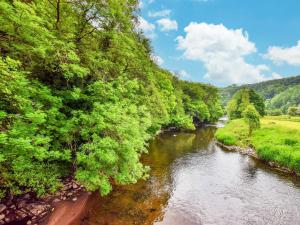 a river with trees on the side of a hill at 2 Bed in Dulverton WONHA in Bampton