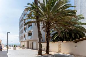 two palm trees on a sidewalk in front of a building at Espanatour VALERIA in Torrevieja