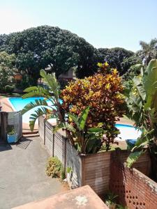 uma planta numa cerca ao lado de uma piscina em PHAKADEHOMES em Durban