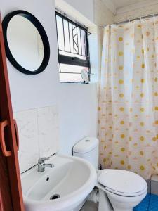 a bathroom with a toilet and a sink and a mirror at Mphatlalatsane Executive BnB in Maseru
