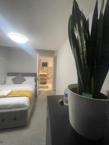 ein Schlafzimmer mit einem Bett und einer Topfpflanze in der Unterkunft Beautiful en-suite bedroom in Ipswich