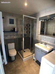 La salle de bains est pourvue d'une douche, de toilettes et d'un lavabo. dans l'établissement Maison en bord de mer, à Mauguio