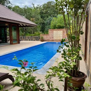 a swimming pool with a plant next to a house at Koh Jum Beach Villas "A member of Secret Retreats" in Ko Jum