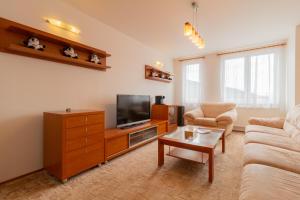 a living room with a couch and a tv at Residence Le Mont in Trutnov