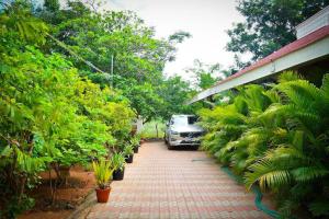 a car parked next to a driveway with plants at Ashirwad homestay madurai...A Rustic Villa Amidst peacocks in Madurai