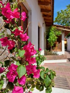 einen Busch rosa Blumen vor einem Haus in der Unterkunft Rincon Sanmartiniano in Mendoza
