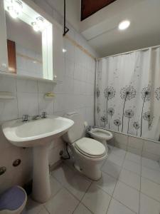 ein Badezimmer mit einem Waschbecken, einem WC und einem Duschvorhang in der Unterkunft Rincon Sanmartiniano in Mendoza
