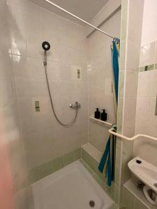 Koupelna v ubytování Apartmán v zahradě Malšovice