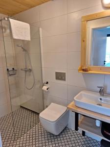 a bathroom with a shower and a toilet and a sink at Domki Szczyt Beztroski - Balia & Sauna in Nowy Targ +43 photos